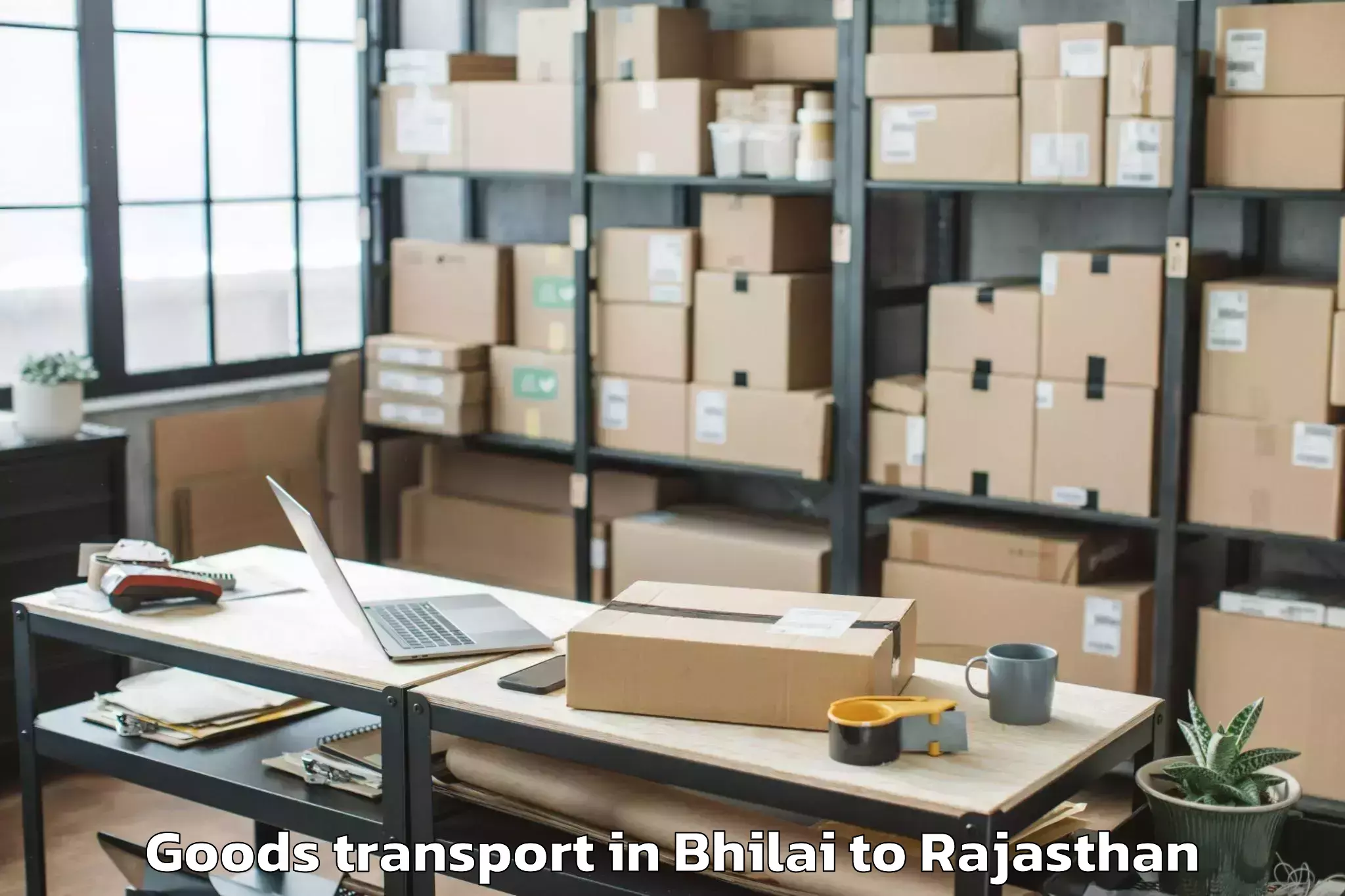 Leading Bhilai to Deoli Goods Transport Provider